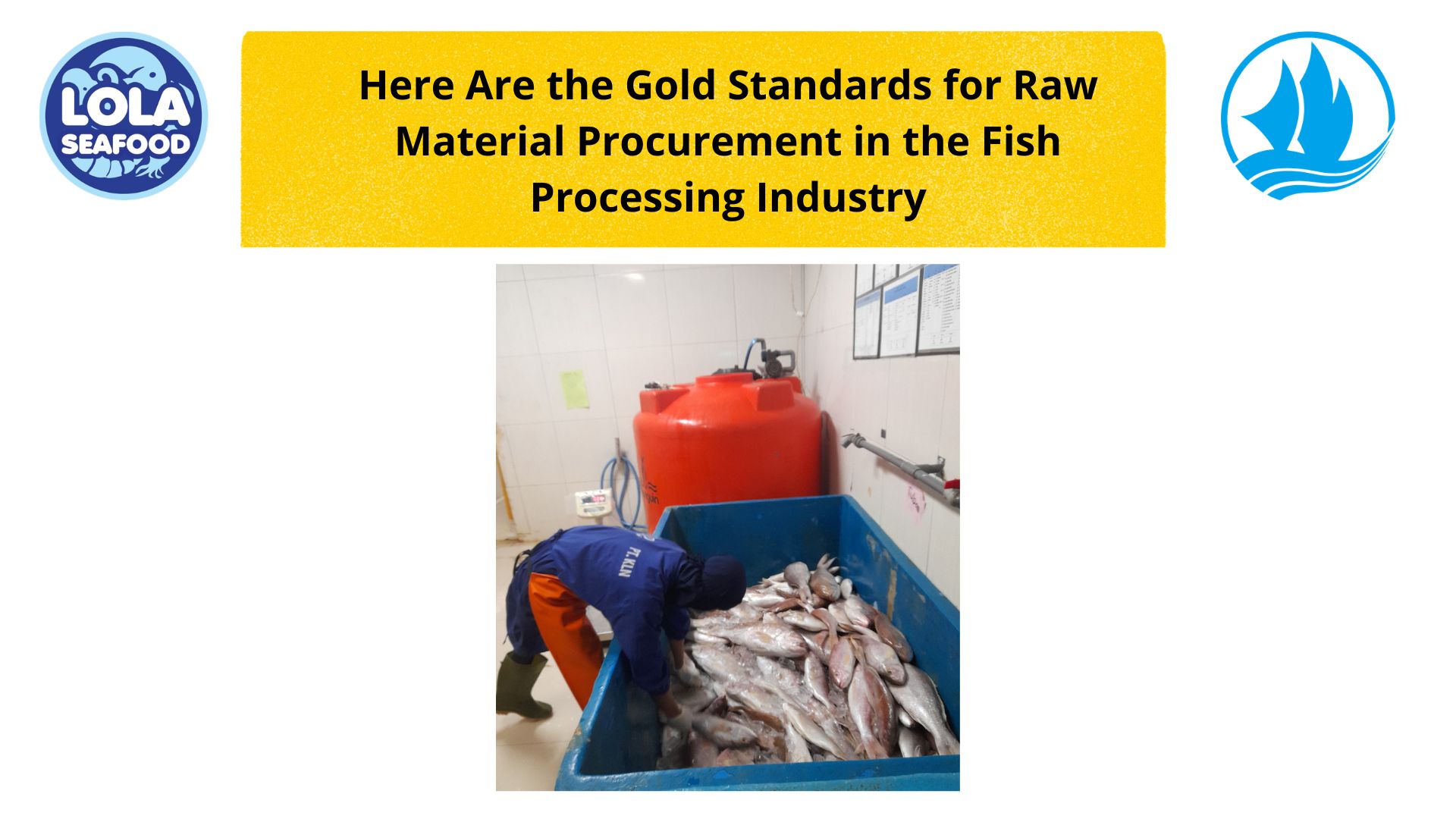 Here Are the Gold Standards for Raw Material Procurement in the Fish Processing Industry